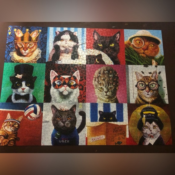Eurographics 1,000 piece cat puzzle 🧩 - Picture 2 of 3